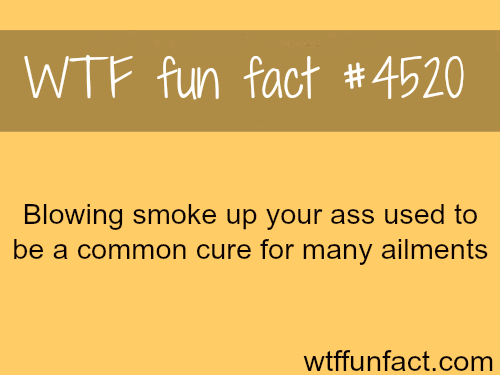 Blowing smoke up your ass -   WTF fun facts