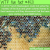 blue and green colored honey wtf fun facts