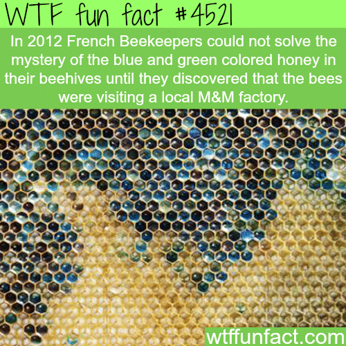 Blue and green colored honey -   WTF fun facts