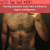 body hair is linked to higher intelligence wtf