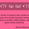 boobs fact