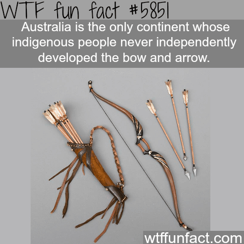 Bow and arrow - WTF fun facts