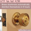 brass doorknobs disinfect themselves