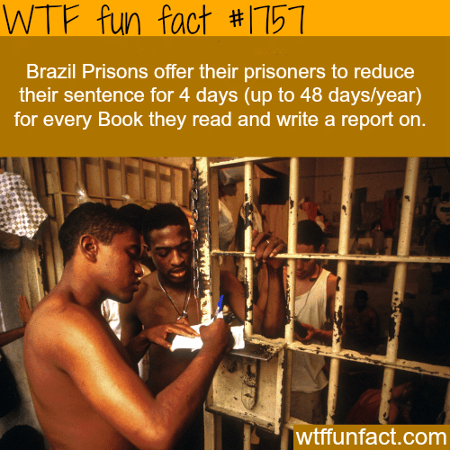 Brazil prisons reduce prisoners’ sentence for reading books - WTF fun facts