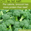 broccoli wtf fun facts