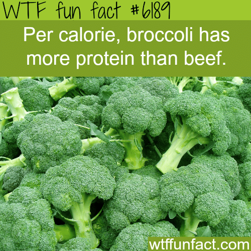 Broccoli - WTF fun facts