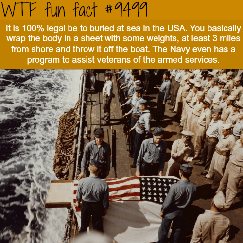 Burial at Sea - WTF Fun Fact