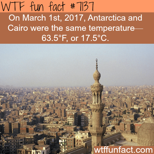 Cairo and Antarctica were the same temperature (March 1st 2017 ) - WTF fun facts