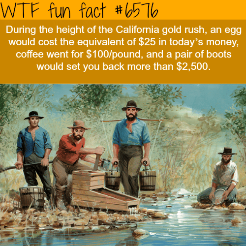 California gold rush - WTF fun facts