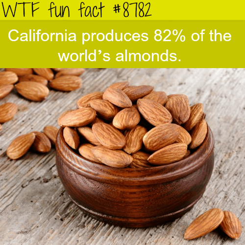 California - WTF fun facts