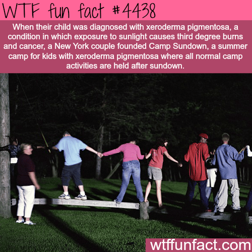 Camp Sundown -   WTF fun facts
