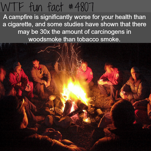 Campfires are worst for your health than cigarette? - WTF fun facts