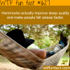 can hammocks improve sleep quality