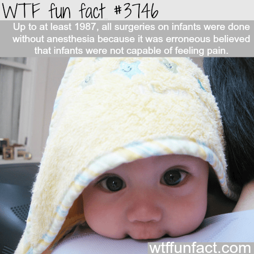 Can infants feel pain? - WTF fun facts