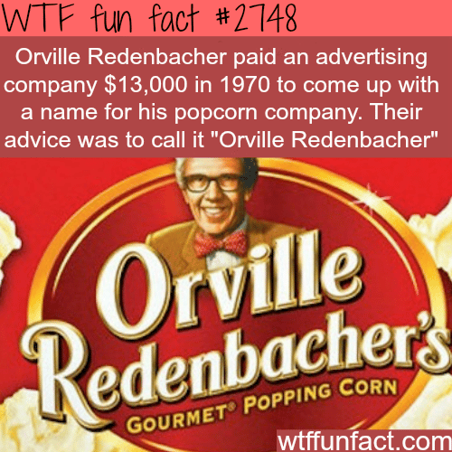 Can you believe money was wasted on this idea? - WTF fun facts