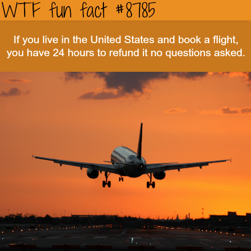Can you cancel your airplane tickets? - WTF fun facts