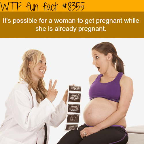 Can you get pregnant while you are pregnant? - WTF fun facts