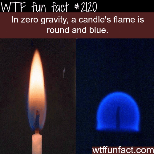 Candle’s flame in zero gravity - WTF fun facts