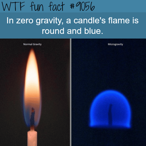 candle’s flame in zero gravity - WTF fun facts