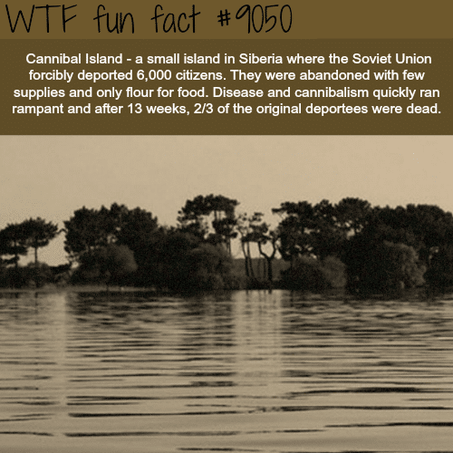 Cannibal Island - WTF fun facts