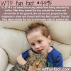 cat saves his young owner from bullies wtf fun