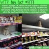 cat that sits on the shelf of supermarkets and