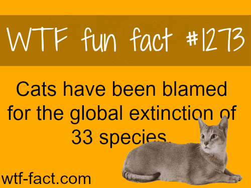 Cats have been blamed for the global extinction of 33 species.