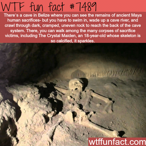 Cave in Belize - WTF FUN FACTS 