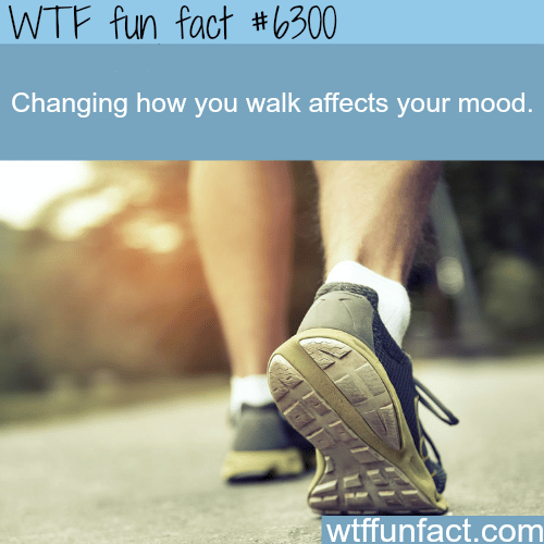 Changing the way you walk  - WTF fun facts