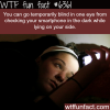 checking your phone at night wtf fun facts