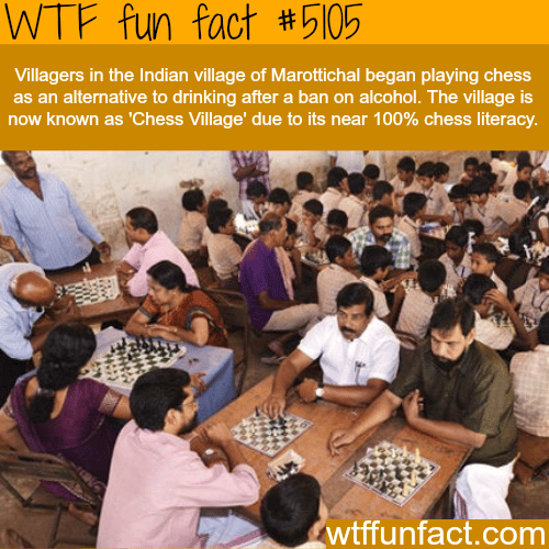 Chess village in India - WTF fun facts