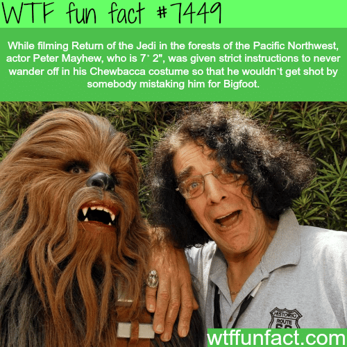 Chewbacca - Facts