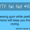chewing gum stops cryings