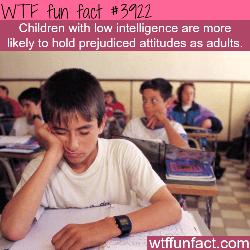 Children with low intelligence - WTF fun facts 