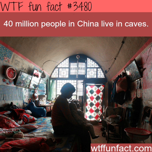 China cave homes -  WTF fun facts