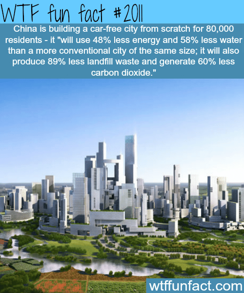 China is building a car-free city - WTF fun facts