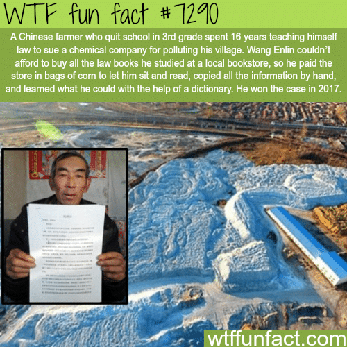 Chinese farmer teaches himself law for 16 years to sue a company - WTF fun fact