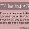 chinese insults wtf fun facts