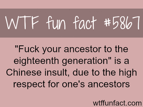 Chinese insults - WTF fun facts