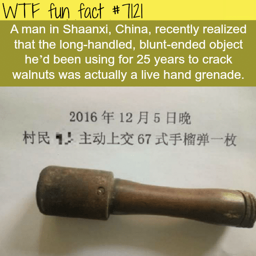 Chinese man used a live hand grenade to crack walnuts - WTF fun facts