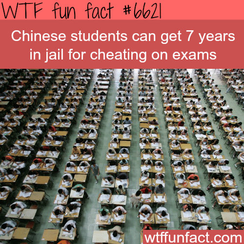 Chinese students can go to jail for 7 years for cheating - WTF fun facts