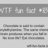 chocolate facts