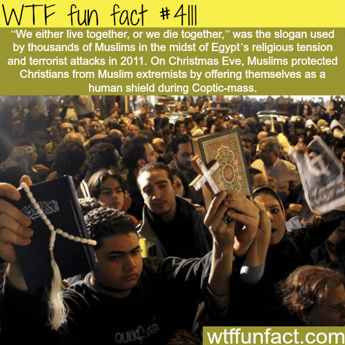 Christians and Muslims united in Egypt -  WTF fun facts