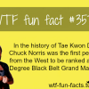 chuck norris facts