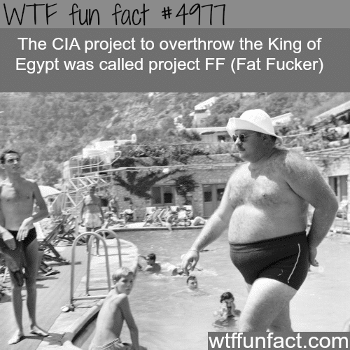 CIA project to overthrow the King of Egypt - WTF fun facts