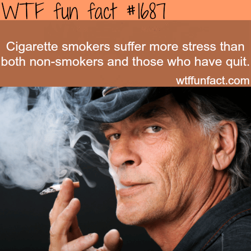 Cigarette smokers suffer more stress - WTF fun facts