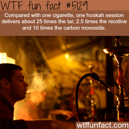 Cigarette smoking vs hookah - WTF fun facts