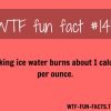 click here for more of wtf fun facts