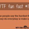 click here for more of wtf fun facts funny