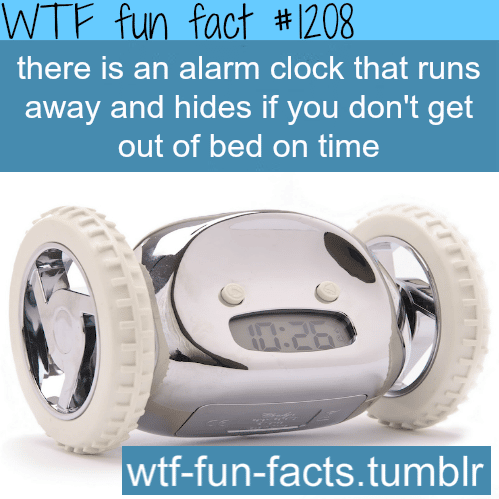 There’s an alarm clock named Clocky which has wheels that rolls away and hides if you don’t get out of bed on time.
